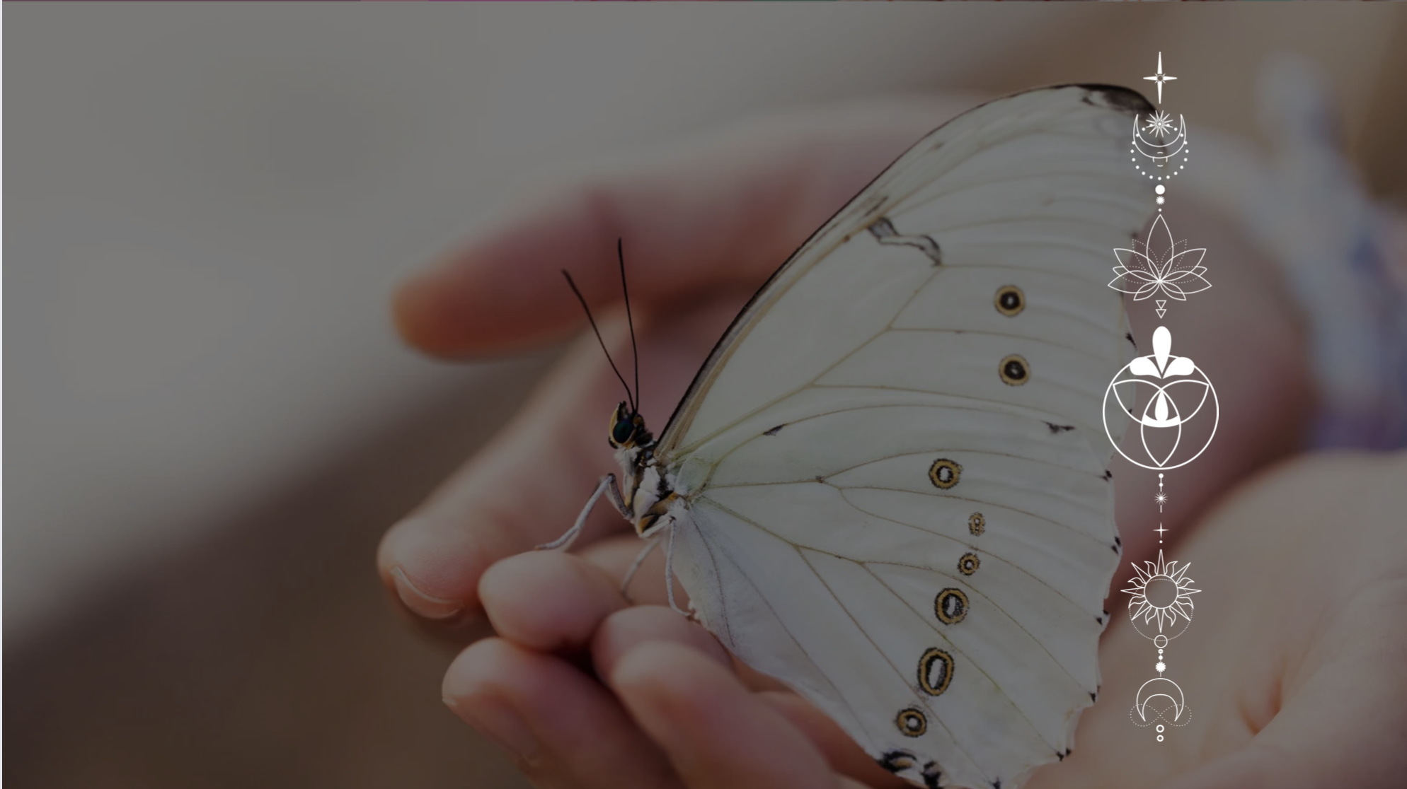 Bildschirm­foto 2024-04-10 um 15.02.14