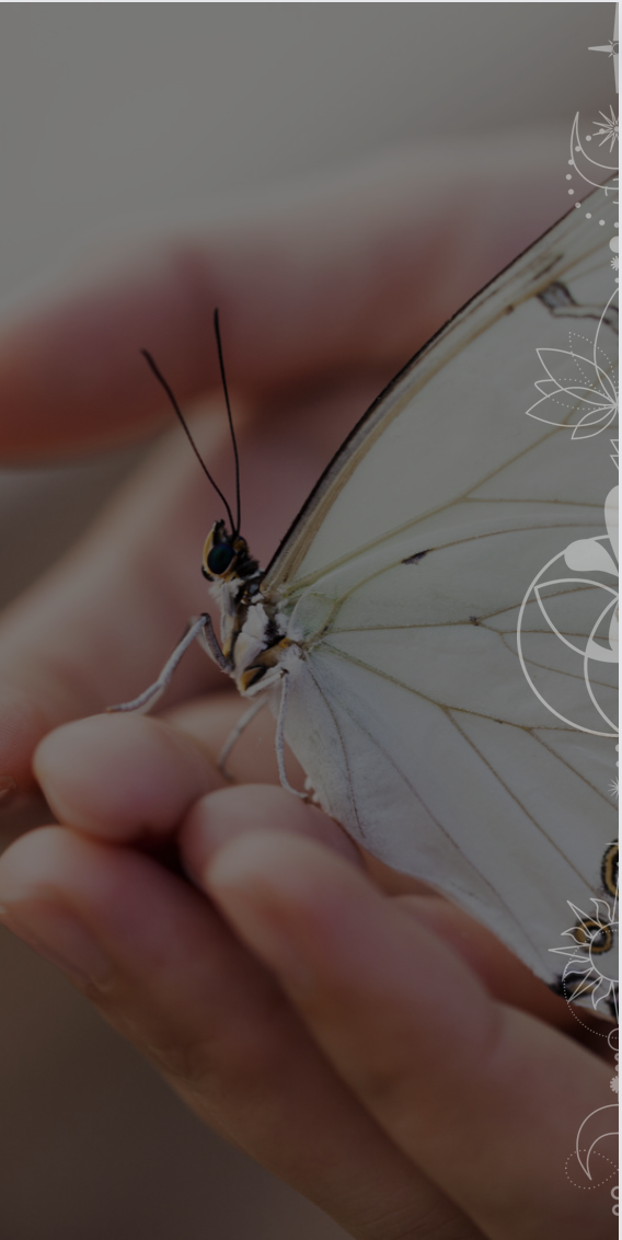 Bildschirm­foto 2024-04-10 um 15.33.09