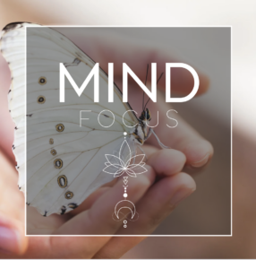 Bildschirm­foto 2024-04-29 um 14.40.43